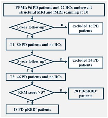 Progressive Prefrontal Cortex Dysfunction in Parkinson's Disease With Probable REM Sleep Behavior Disorder: A 3-Year Longitudinal Study